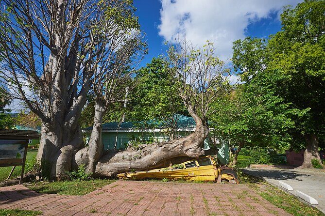 Roseau Dominica Safari Scenic: Rainforest, Falls & Karaoke - Transportation, Group Size, and Overall Value