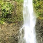Roseau: Guided Day Trip to Popular Waterfalls - Exploring the Itinerary: What Makes Each Stop Special