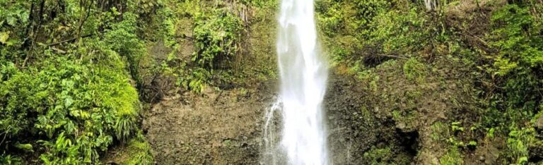 Roseau: Guided Day Trip to Popular Waterfalls - Exploring the Itinerary: What Makes Each Stop Special
