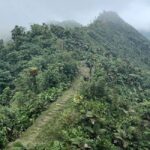 Roseau: Morne Diablotin Hike - What Makes This Tour Stand Out?