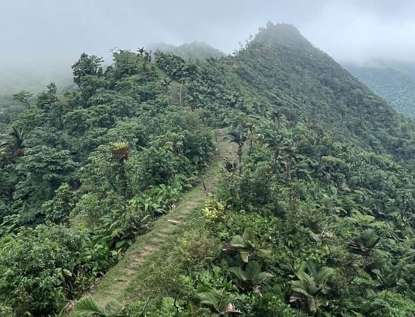 Roseau: Morne Diablotin Hike - What Makes This Tour Stand Out?