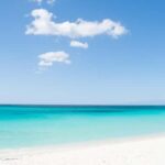 Roseau: Secret Waterfall Canyoning Adventure with Pickup - An Overview of the Canyoning Experience