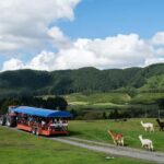 Rotorua: Authentic Kiwi Farm Experience at the Agrodome - Exploring the Agrodome Farm and Its Highlights