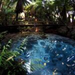 Rotorua Cultural & Geothermal Small Group Tour From Auckland - What Makes This Tour Stand Out?