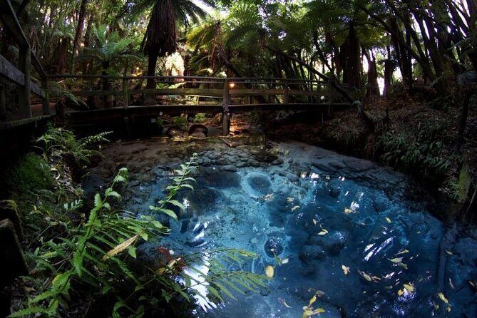 Rotorua Cultural & Geothermal Small Group Tour From Auckland - What Makes This Tour Stand Out?