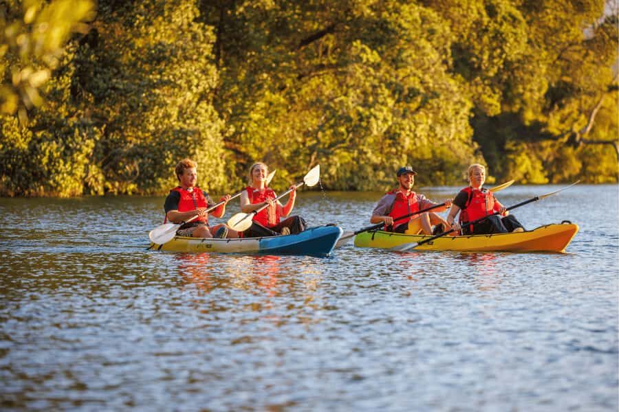 Rotorua: Glow Worm Adventure Kayak - What the Experience Means for You