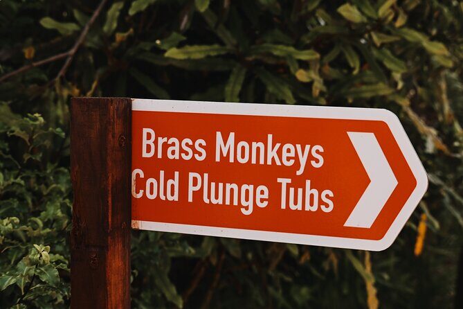 Rotorua Private Sauna Experience - The Experience Itself: A Closer Look