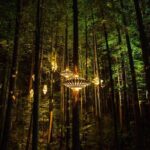 Rotorua: Redwoods Adventure 3-Hours - What’s Included and What to Expect