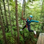 Rotorua: Redwoods Altitude High Ropes Adventure - What to Expect on the Itinerary