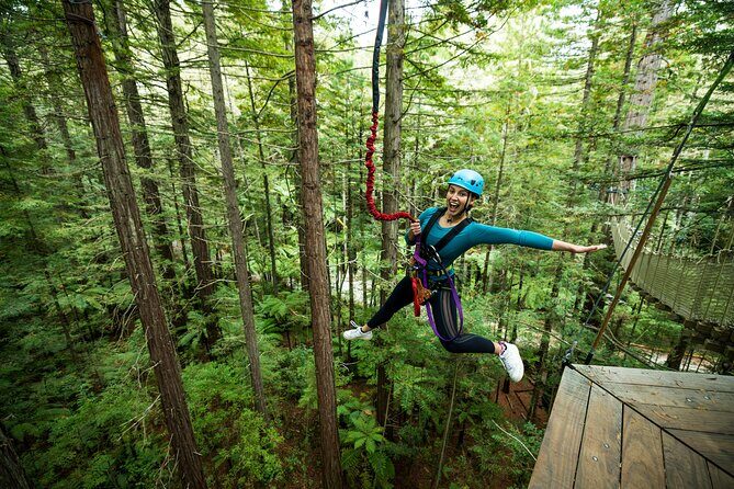 Rotorua: Redwoods Altitude High Ropes Adventure - What to Expect on the Itinerary