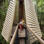 Rotorua: Redwoods Altitude, Nighttime Fast Pass, & Treewalk - Exploring the Full Experience