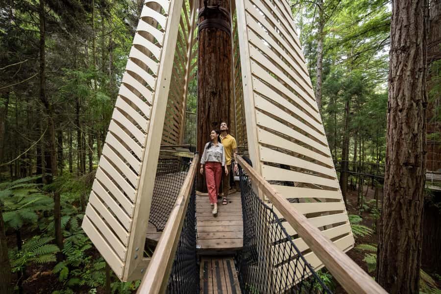 Rotorua: Redwoods Altitude, Nighttime Fast Pass, & Treewalk - Exploring the Full Experience