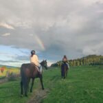 Rotorua: Scenic Horse Trek - Who Is This Tour Best For?