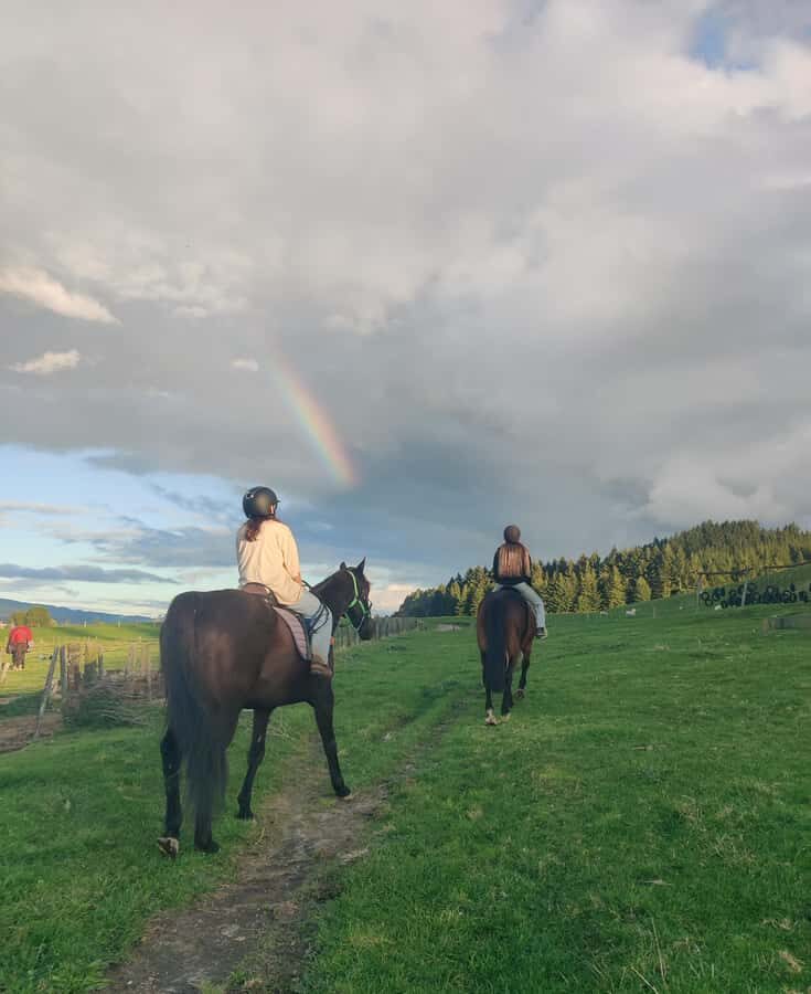 Rotorua: Scenic Horse Trek - Who Is This Tour Best For?