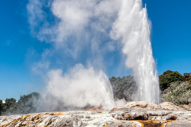 Rotorua Te Puia and Blue Springs Day Tour - Final Thoughts: Who Should Join This Tour?