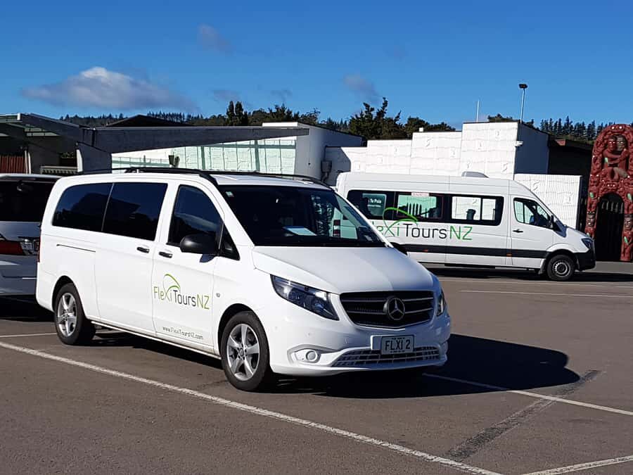 Rotorua to Auckland - Afternoon Transfer with Waitomo Caves - What to Expect from the Rotorua to Auckland Transfer with Waitomo Caves