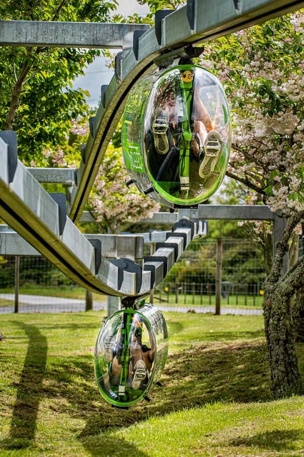 Rotorua: Velocity Valley - Four Ride Pass - Final Thoughts