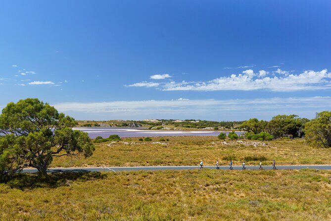 Rottnest Coastal Explorer Tour - The Itinerary Breakdown: What Youll See and Do