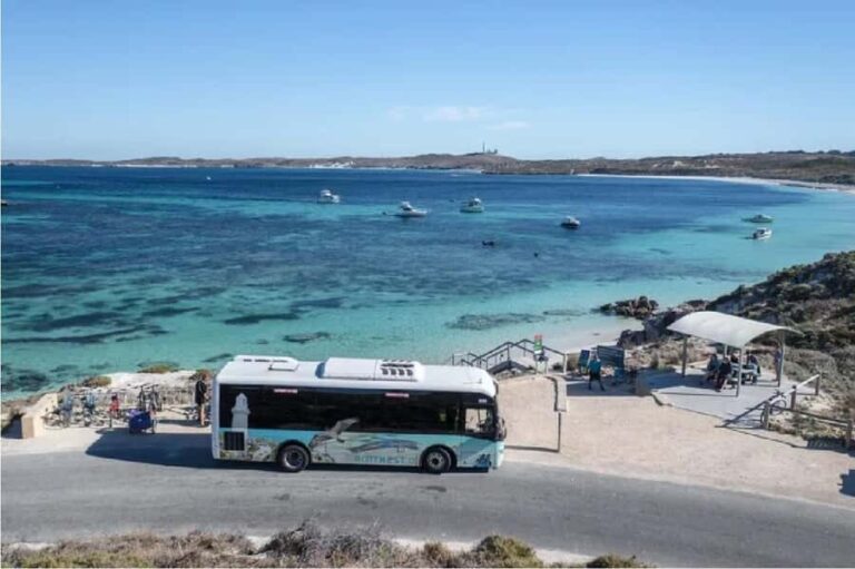 Rottnest Island 1.75 Hour Bayseeker Island Tour - Who Should Book This Tour?