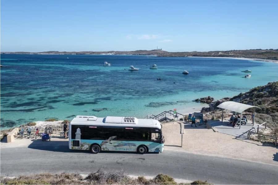 Rottnest Island 1.75 Hour Bayseeker Island Tour - Who Should Book This Tour?