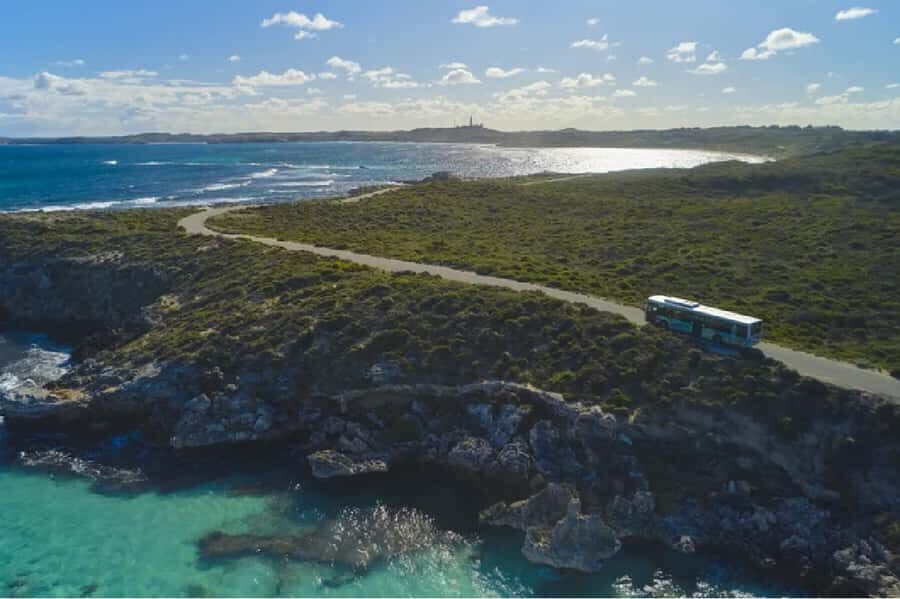 Rottnest Island Ferry and 1.75 Hr Bus Tour - Who Is This Tour Best For?