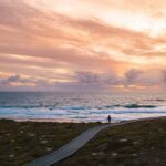 Rottnest Island Seals Sunset and West End Bus Tour - What’s included and what’s not