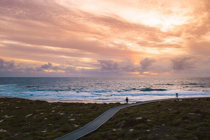 Rottnest Island Seals Sunset and West End Bus Tour - What’s included and what’s not