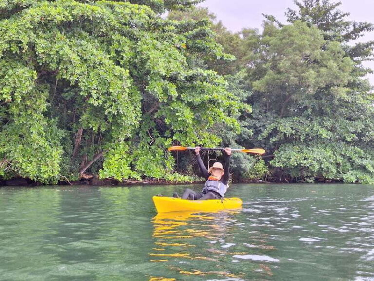 Round Ketam Kayaking at Pulau Ubin - What to Expect from the Tour