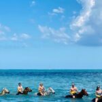 Round Trip Private Transfer from Montego Bay Airport to the City - What to Expect on Your Journey