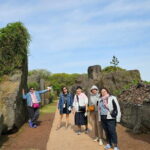 Round Trip Private Transport to Jeju Stone Park - Who Should Book This Tour?
