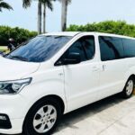 Round Trip Transfer from Santo Domingo SDQ to Punta Cana - The Real-World Experience: What Travelers Say