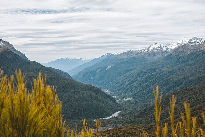 Routeburn Guided Day Hike from Te Anau with Lunch & Transport - Practical Details and Value