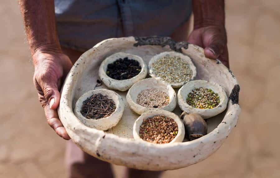 Royal Rajasthani Thali & Family Cooking Class in Udaipur - A Deep Dive into the Udaipur Cooking Class
