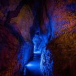 Ruakuri Cave and Hamilton Gardens Private Day Tour from Auckland - Whats Included and Whats Not