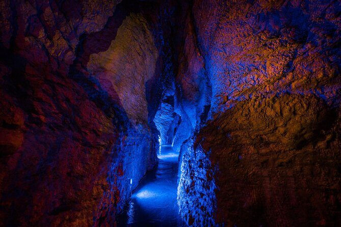 Ruakuri Cave and Hamilton Gardens Private Day Tour from Auckland - Whats Included and Whats Not