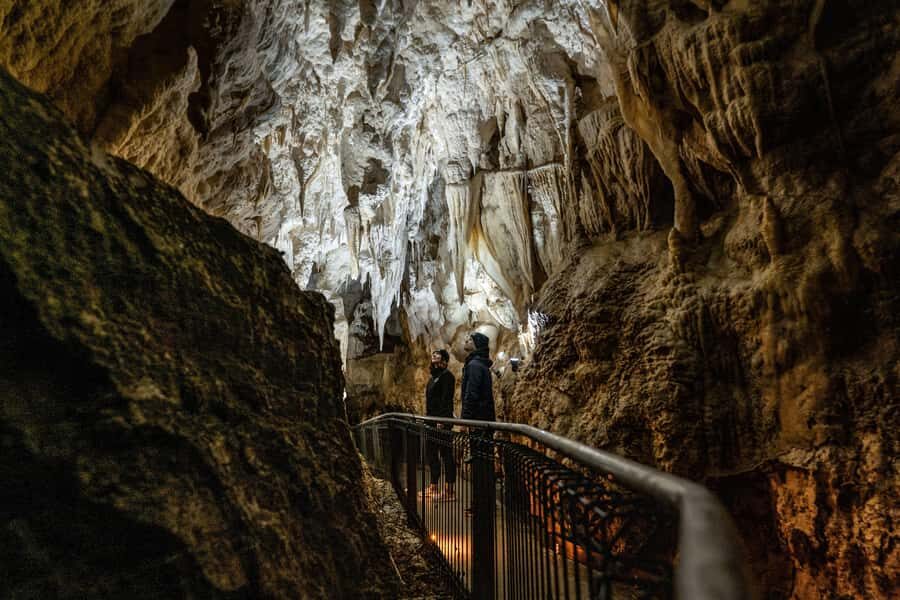 RUAKURI CAVE & HAMILTON GARDENS-PRIVATE TOUR FROM AUCKLAND - Practical Details and Value
