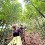 Sa Pa: Cang Hmong Sapa Trekking Tour - The Authentic Charm & Cultural Richness