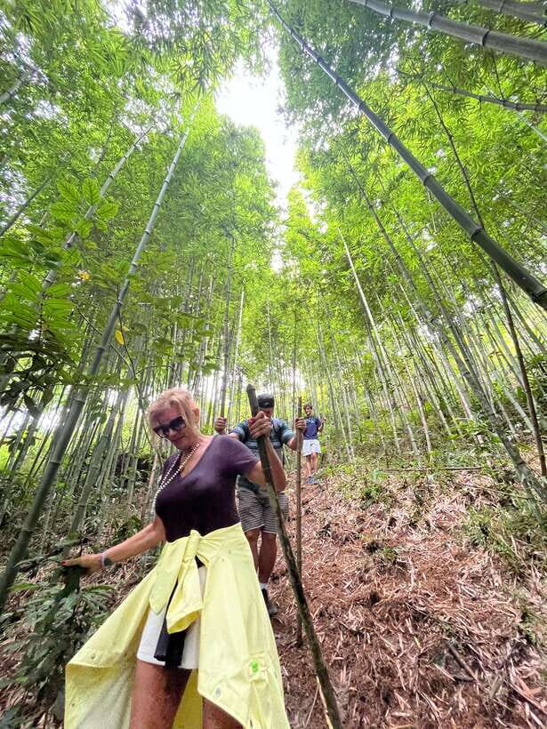 Sa Pa: Cang Hmong Sapa Trekking Tour - The Authentic Charm & Cultural Richness