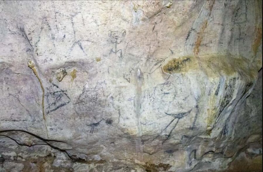 Sabana de la Mar: Los Haitises National Park Day Trip Free - An In-Depth Look at the Los Haitises Tour Experience