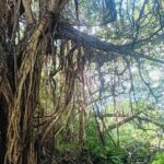 Sacred Meditation Tour in Itoman City - Practical Details and Tips