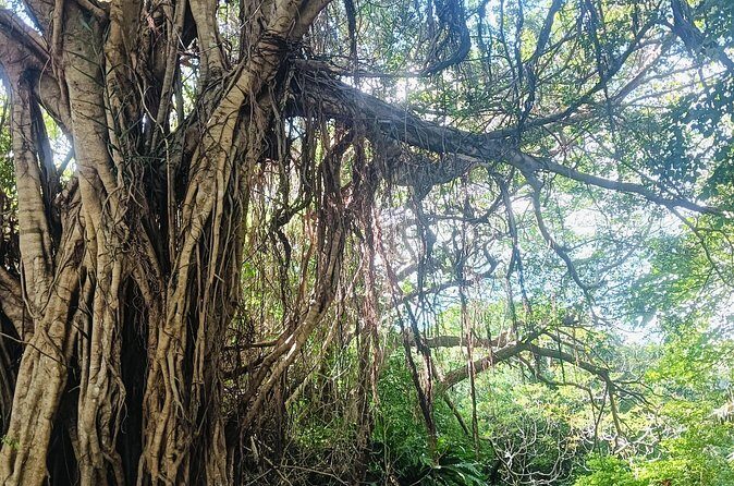 Sacred Meditation Tour in Itoman City - Practical Details and Tips