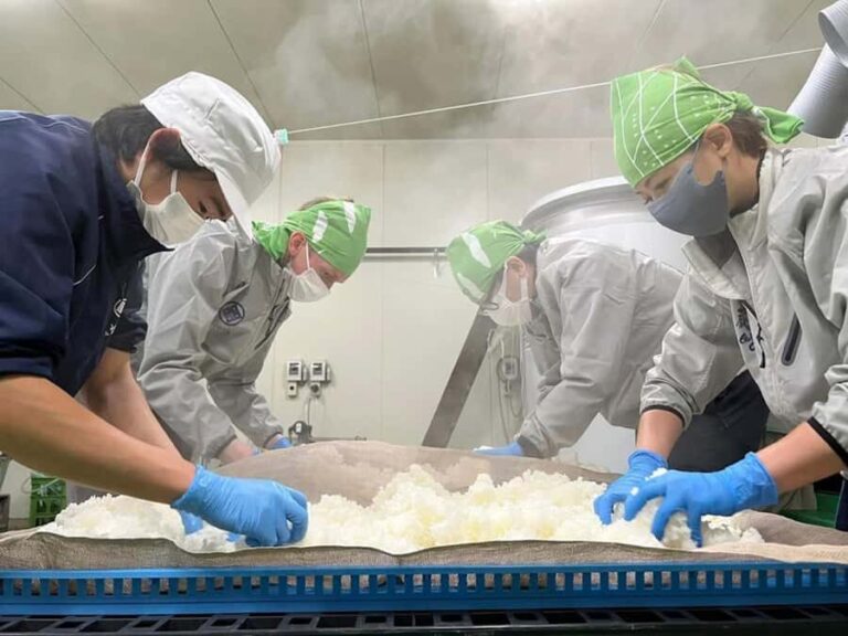 Sado Island: Obata Sake Brewery Tour and Tasting - Practical Details and Tips