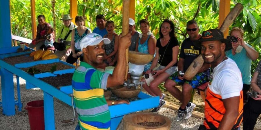 Safari Half Day from Punta Cana - Practicalities and Tips for Making the Most of the Tour