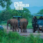 Safari Jeep Tour In Udawalawa Park Sri Lanka - The Itinerary Breakdown