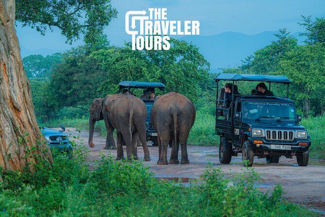 Safari Jeep Tour In Udawalawa Park Sri Lanka - The Itinerary Breakdown