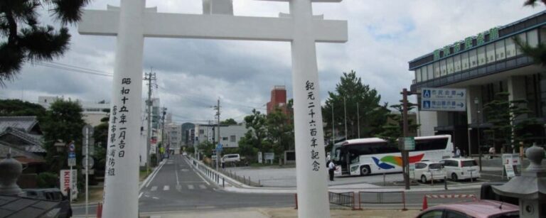 Saga: Karatsu Kunchi, Balloon, & Fox Wedding Festivals Tour - What to Expect: A Day of Festive Contrasts