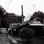 Sagamihara: Kubota Brewery Tour and Sake Tasting - The Experience in Context