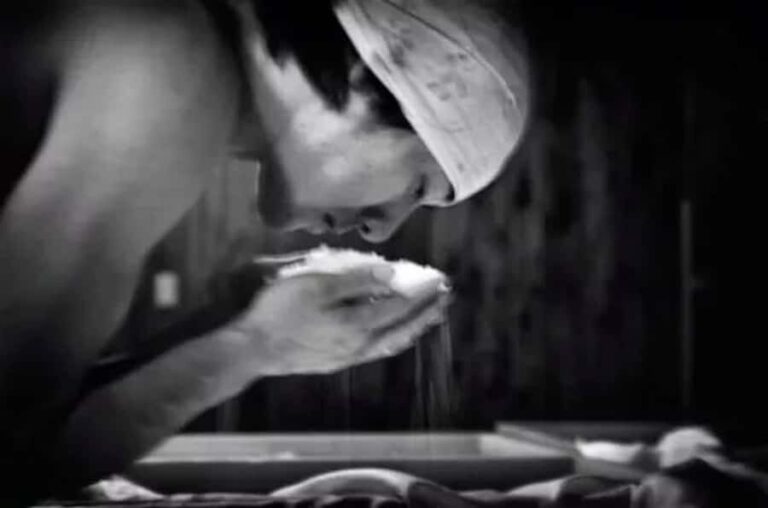 Sagamihara: Kubota Brewery Tour and Sake Tasting - Deep Dive into the Kubota Brewery Experience