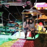 Sagamiko Resort Pleasure Forest Ticket and Ride Pass - Navigating the Experience