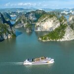 Sail Halong Bay in Luxury Dolphin Day Cruise with Panoramic Views - Frequently Asked Questions